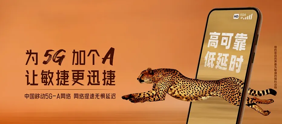 新蔡县新蔡县黄楼镇 移动宽带