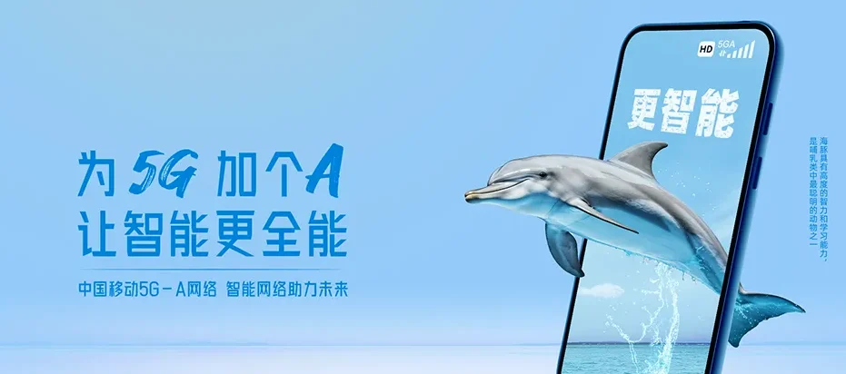 新蔡县新蔡县砖店镇 移动宽带